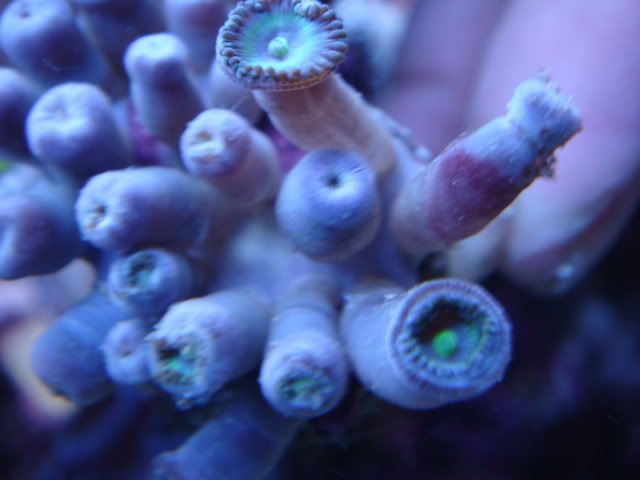 DSC01646.jpg