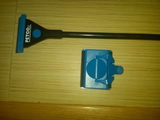 IMG-20110903-00116.jpg