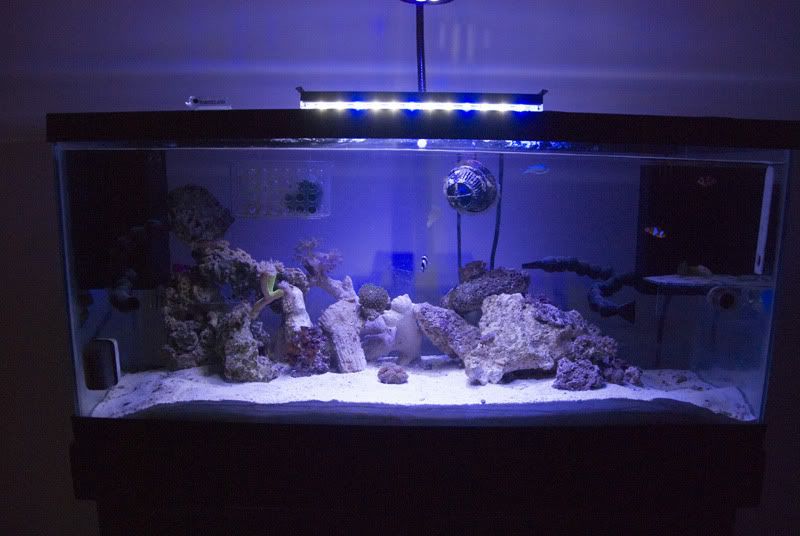 DSC_4185.jpg