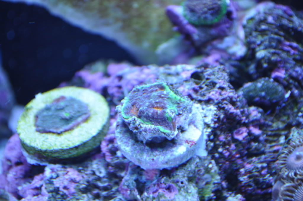 DSC_0376.jpg