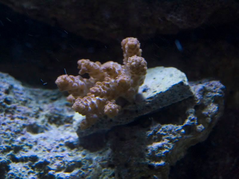 P6300027.jpg