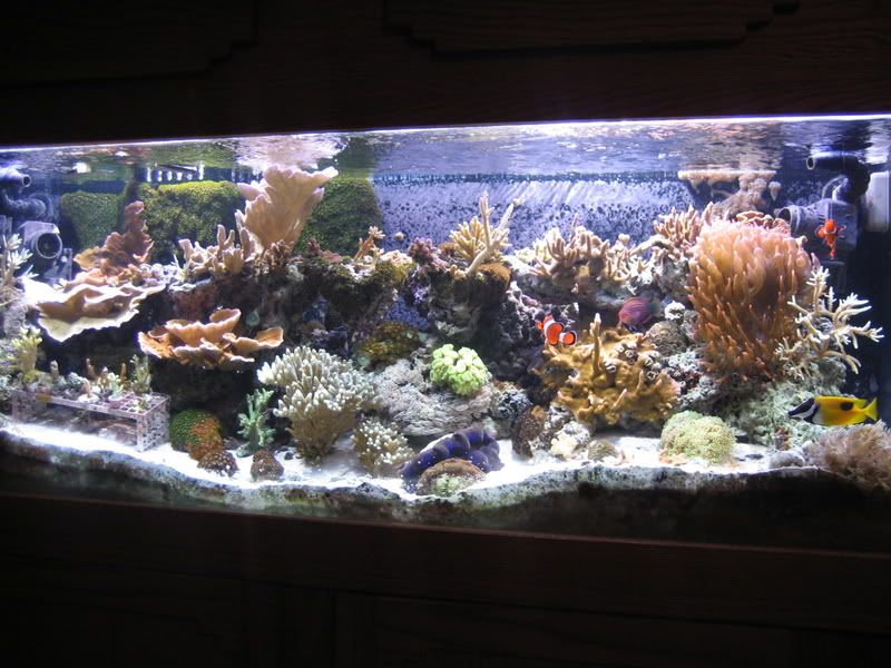 1-24-07004.jpg