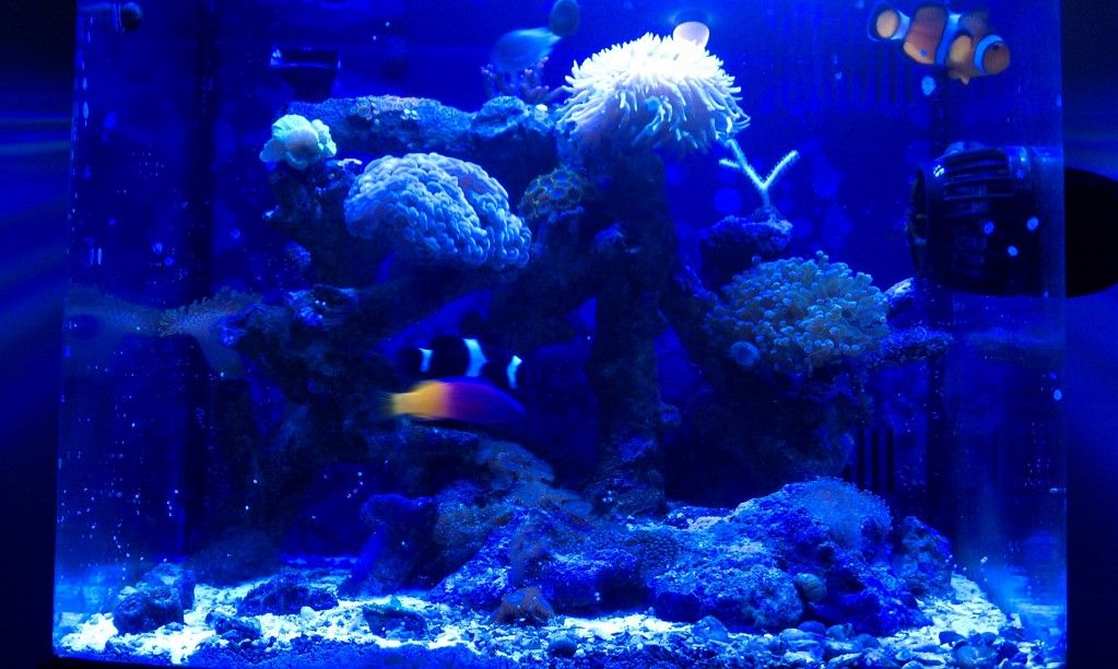 IMAG0532.jpg