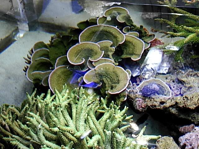DSCN0272.jpg