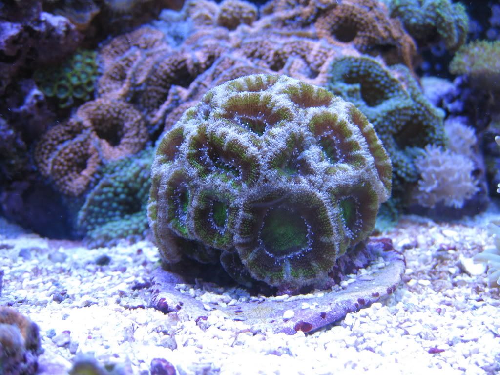 IMG_0634.jpg