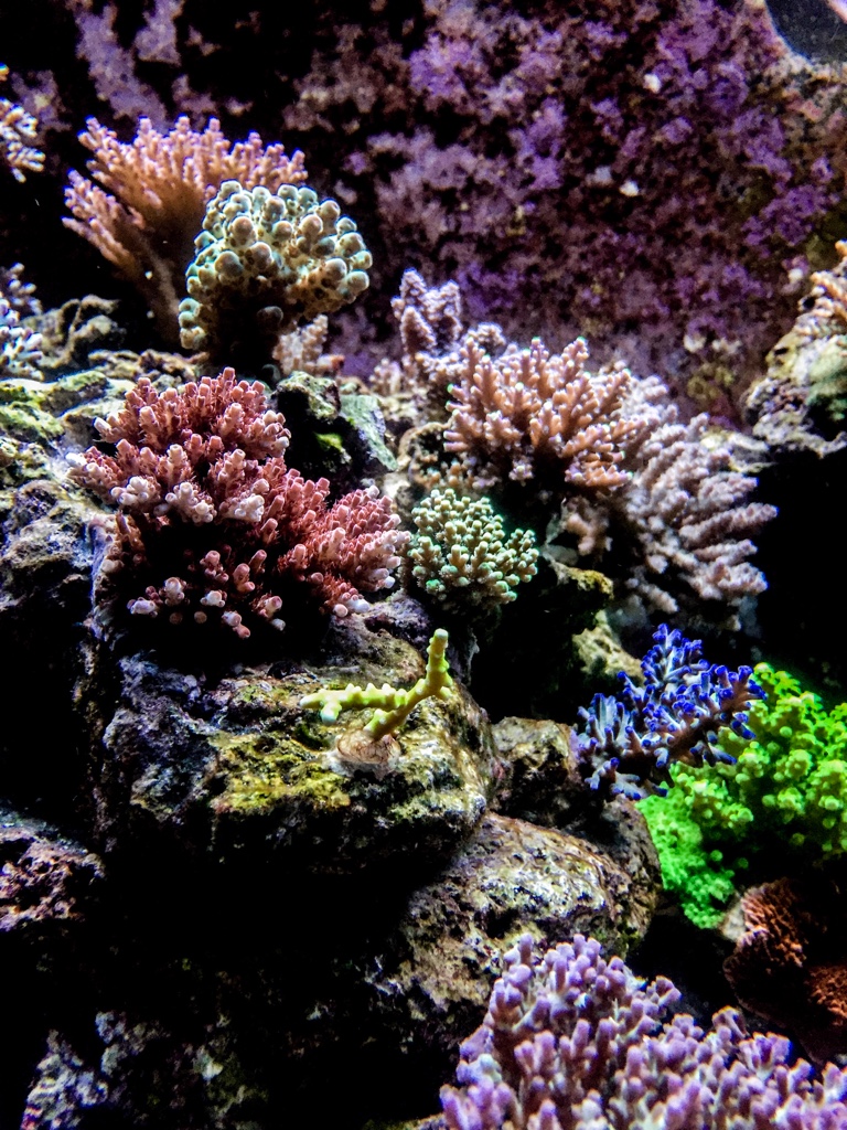 3b68e8dc7589aff54a8163fe7ef12f31.jpg