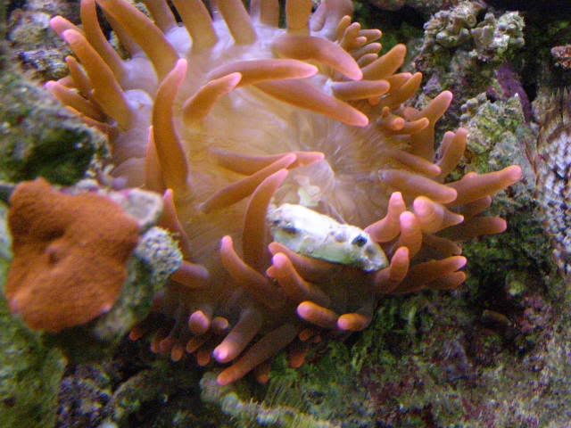 P8140017.jpg
