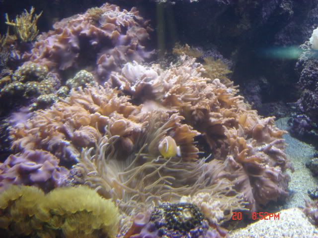 DSC01412.jpg