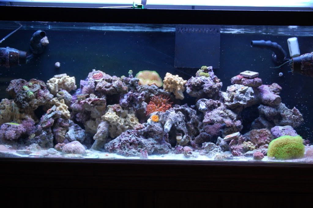 DSC_7551.jpg