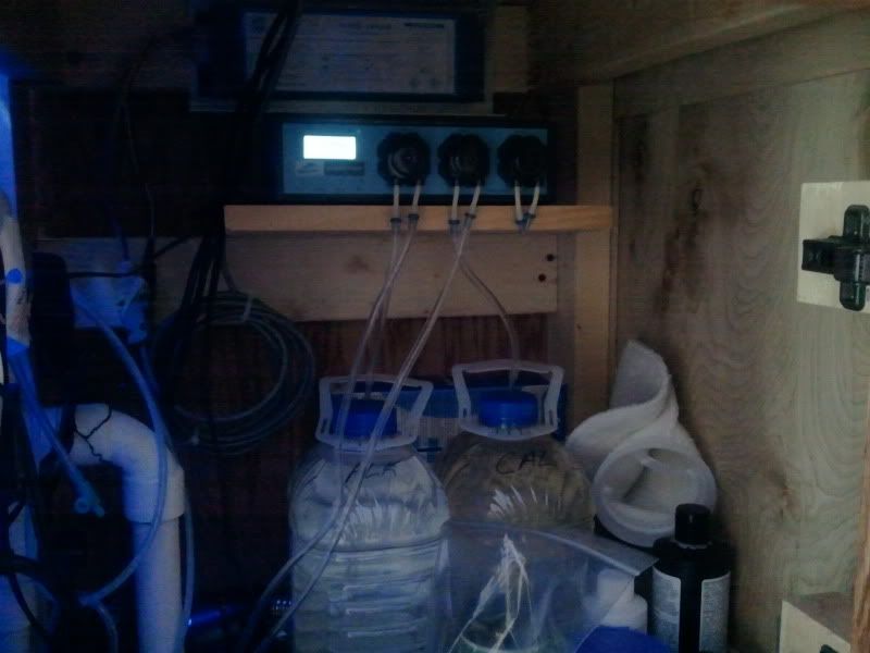 2011-05-16150319.jpg