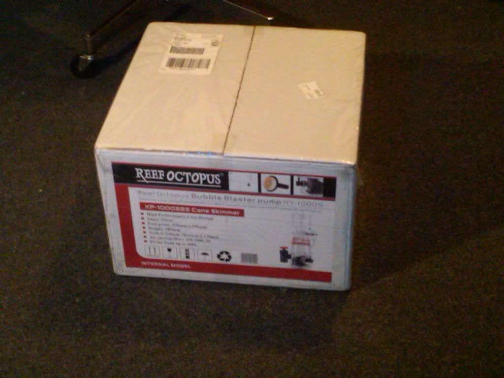 IMG-20110305-00122.jpg