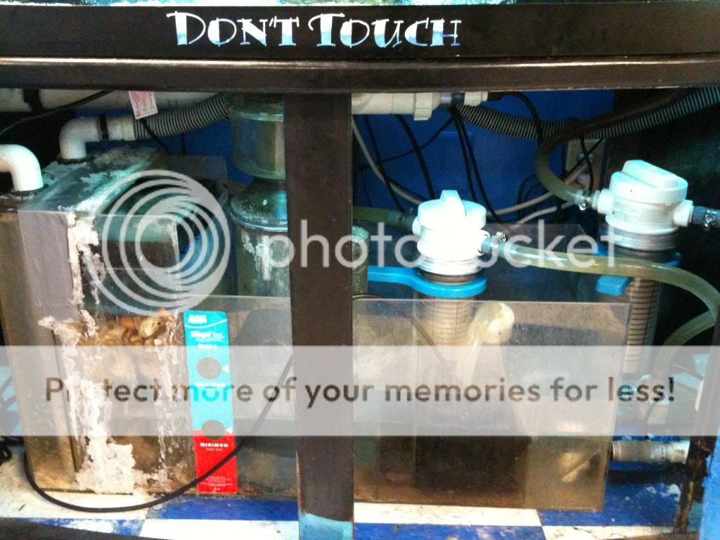 IMG955220.jpg