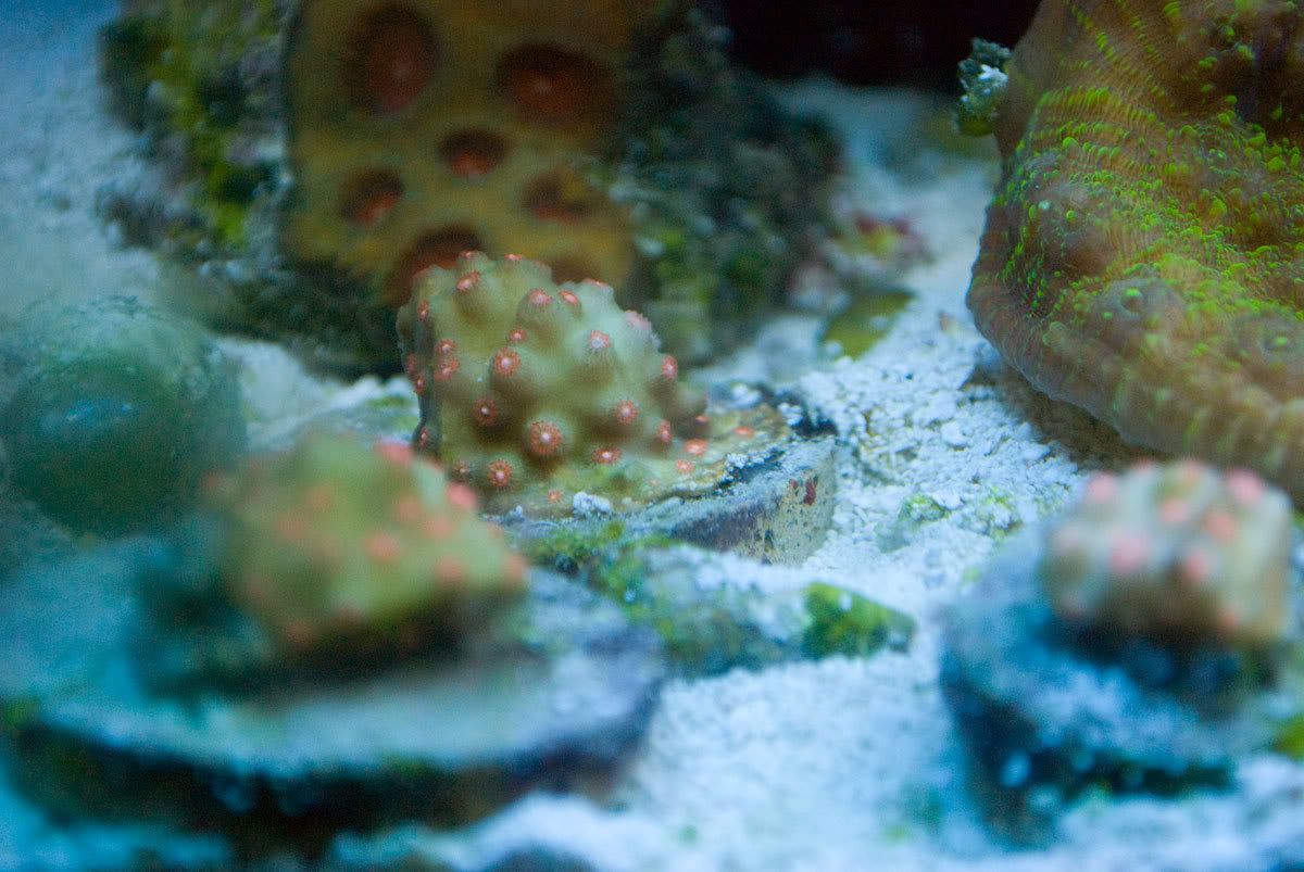 DSC_0559.jpg