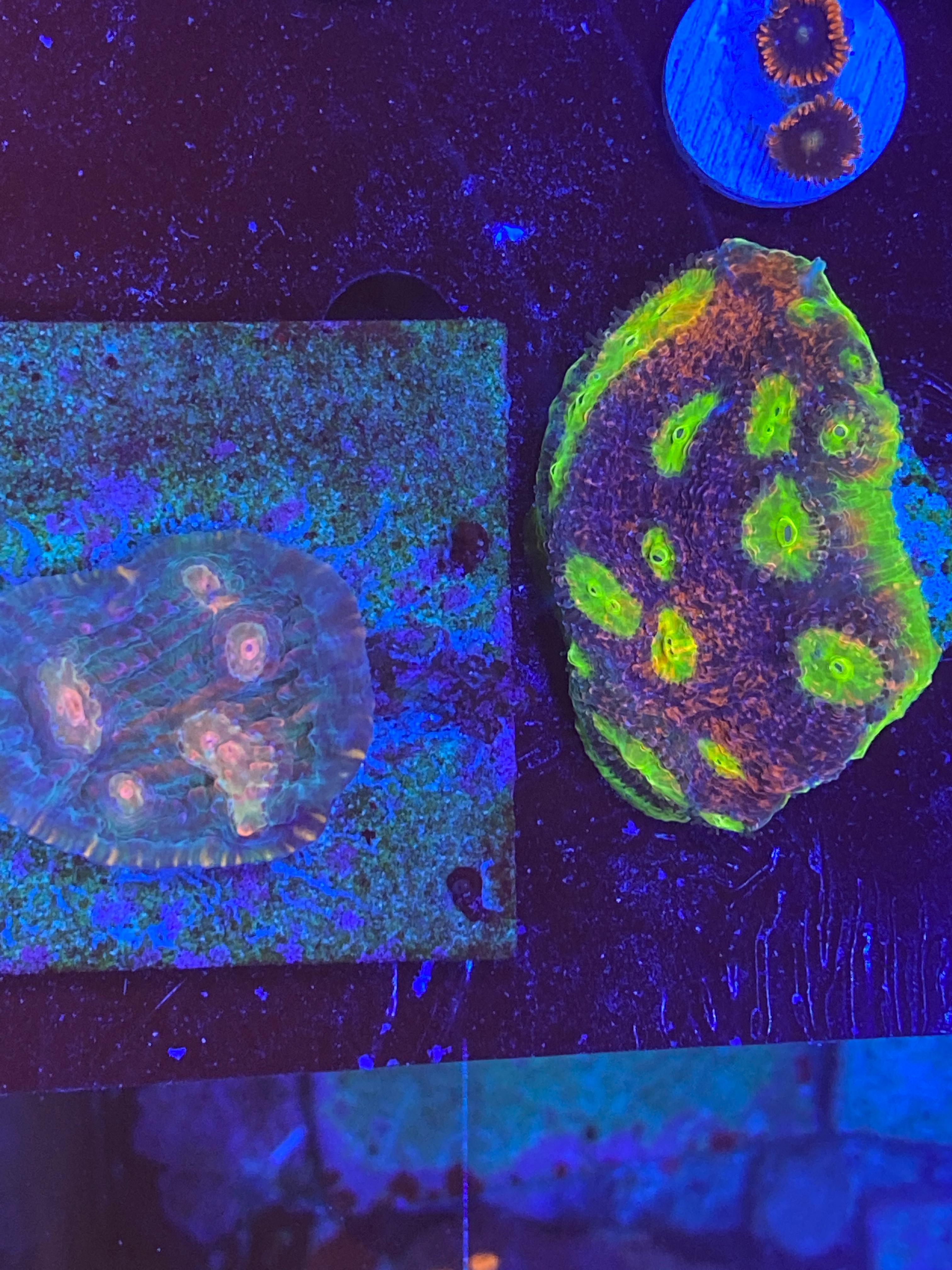 3e608e5ee46816c08482416805cbcaf4.jpg