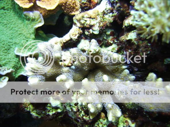 Aqua_1_16006.jpg