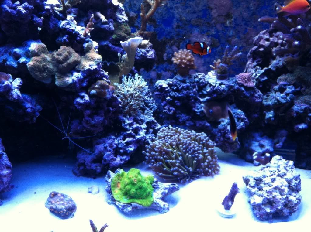 frags2-25-12017.jpg