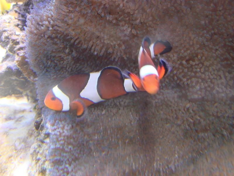 DSC01175-1.jpg