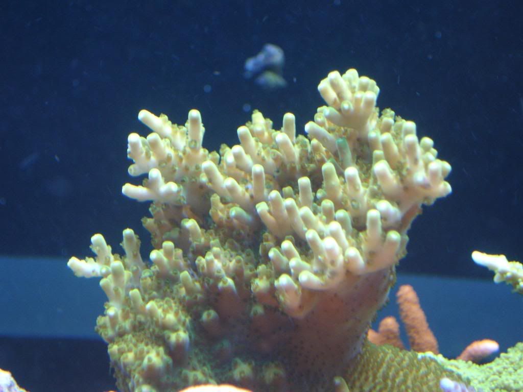 DSC04619.jpg