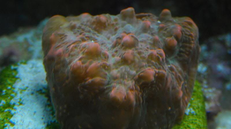 DSCN1343.jpg