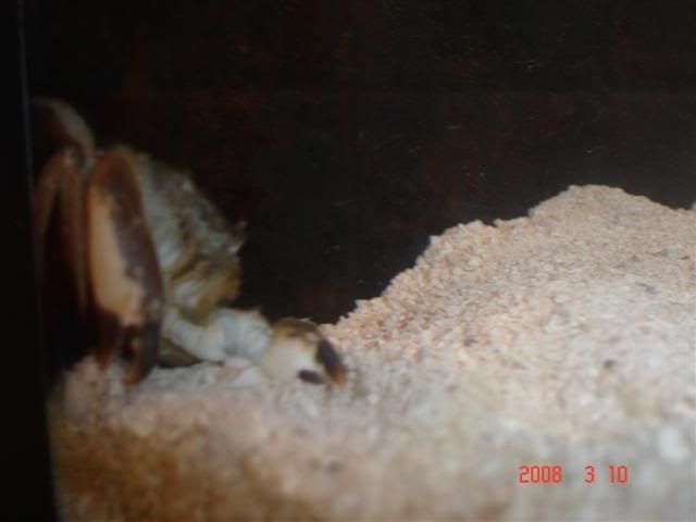 DSC01627Small.jpg