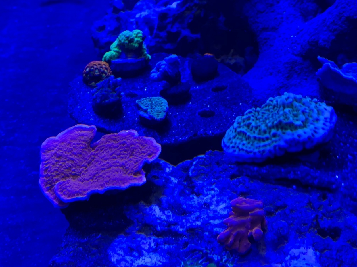 f9b7e3136bc5a4f64466943373a44253.jpg