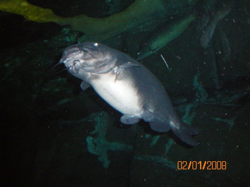 100_0164.jpg