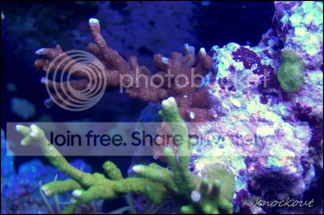 DSC_0109NEF.jpg
