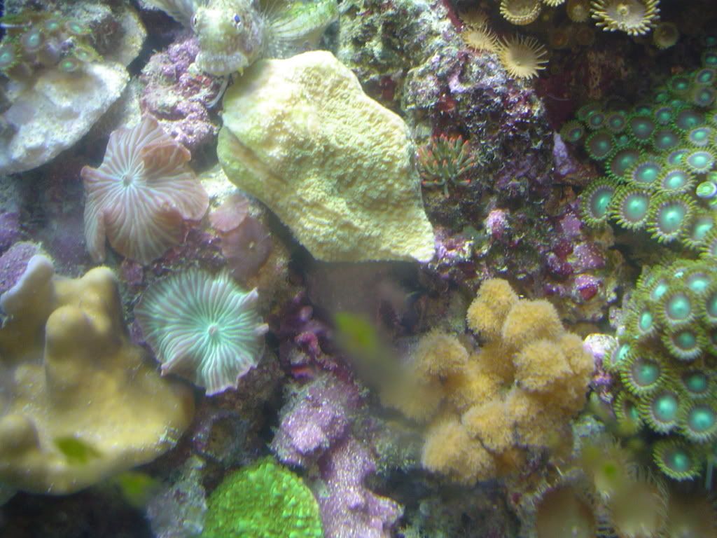 Picture013.jpg