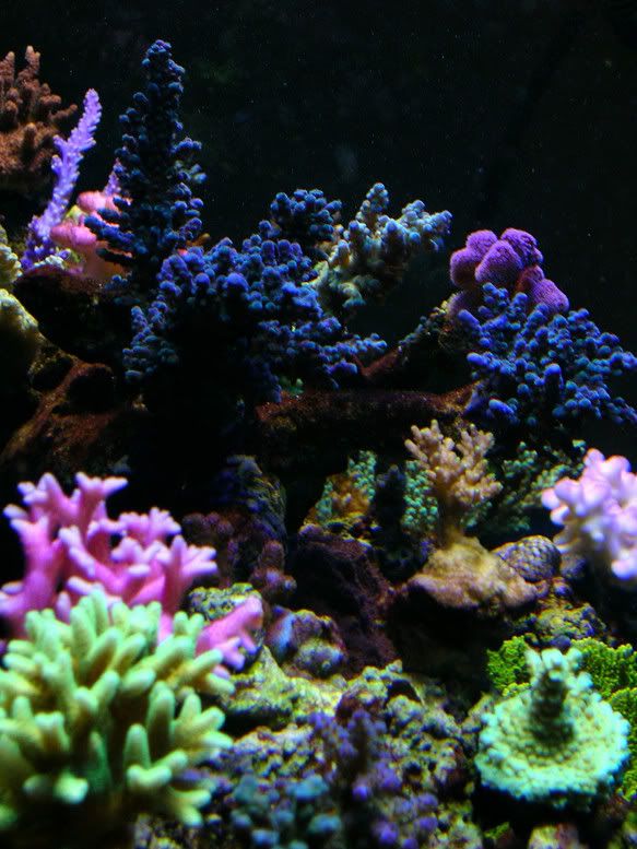 DSCN0794.jpg