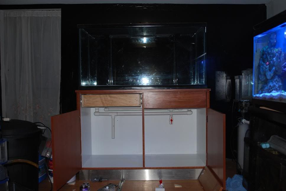 pic3moving.jpg