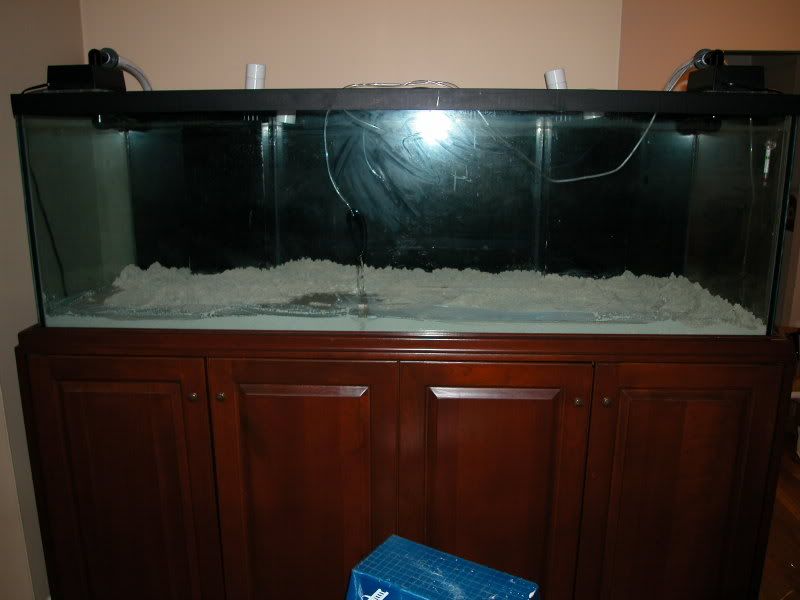 DSCN2544.jpg