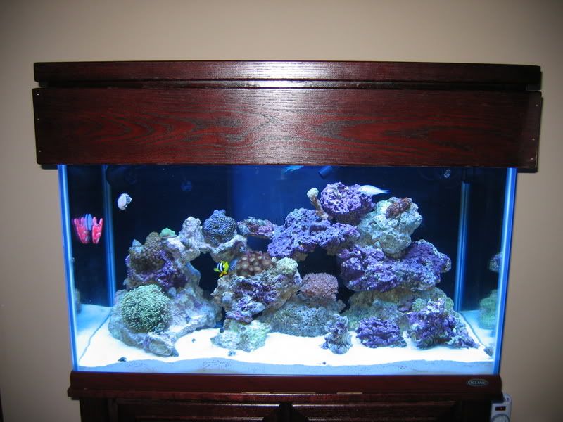 Aquarium055.jpg