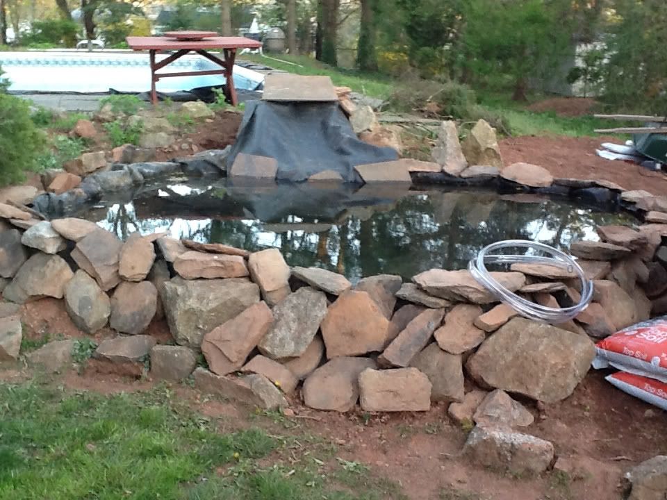 72384f52.jpg
