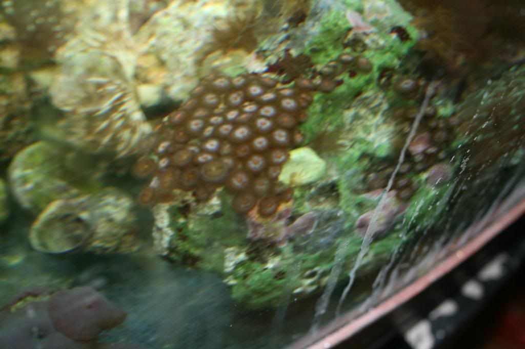 saleoffishes011.jpg