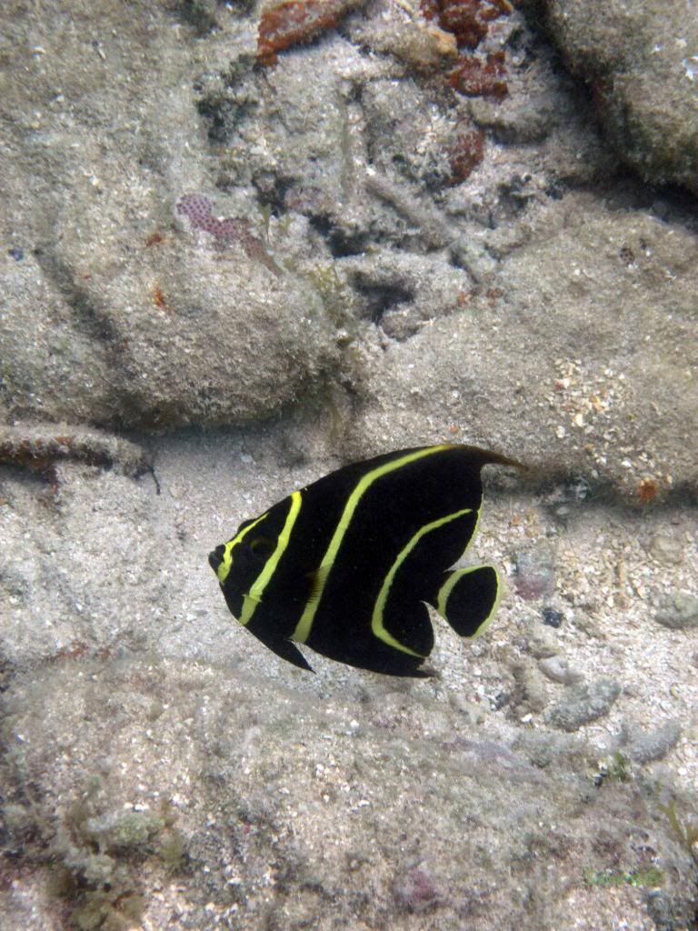 IMG_0575.jpg