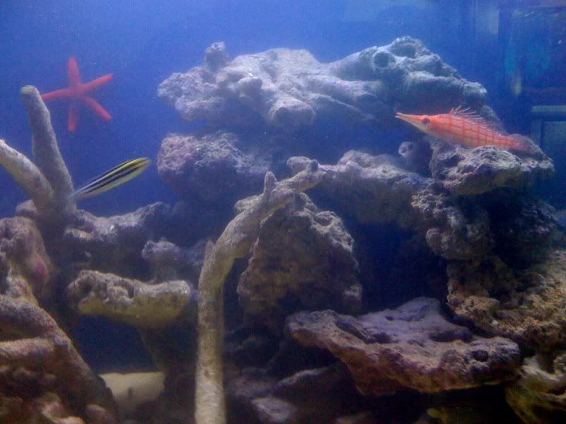 photo-5.jpg