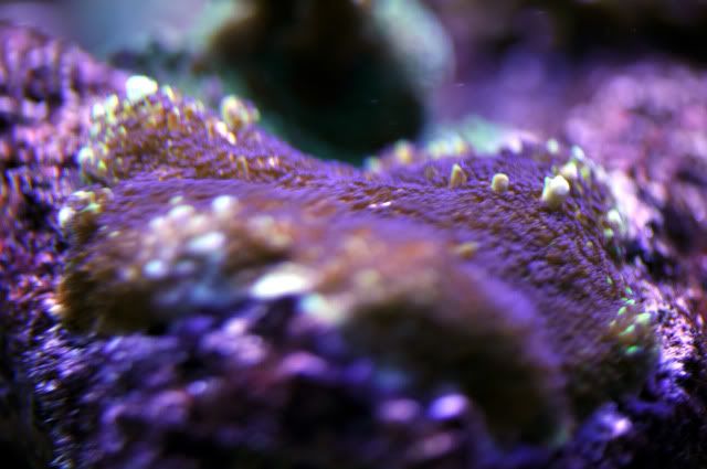 DSC_0638_edited.jpg