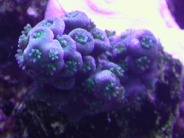 DSCN5538.jpg