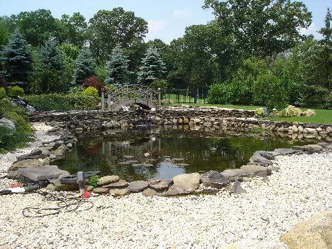 POND.jpg