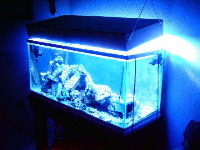 IMAG0005p.jpg