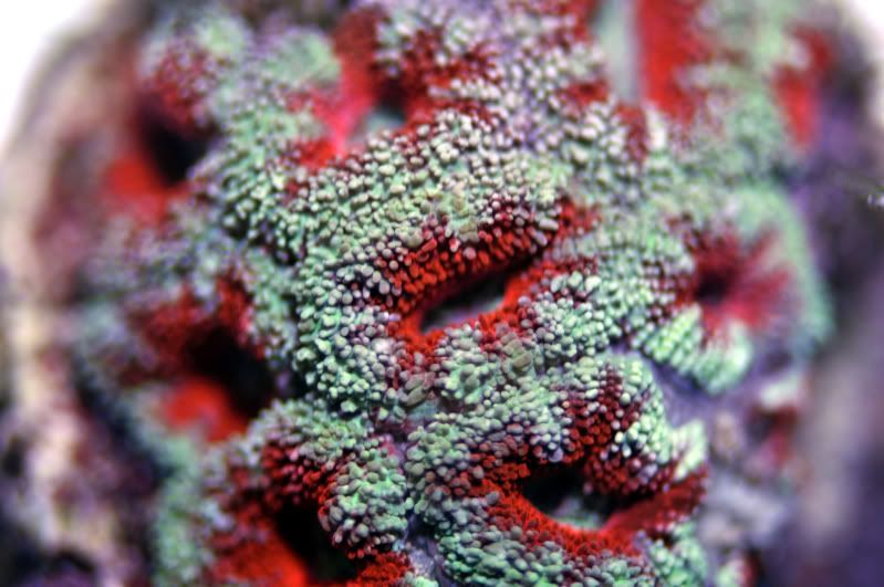 DSC_0062_edited-1.jpg