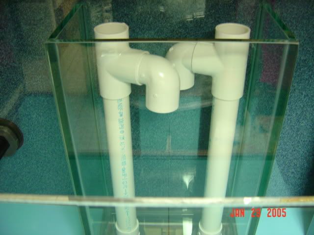 DSC00739.jpg