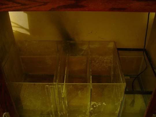 Insidecabinet.jpg