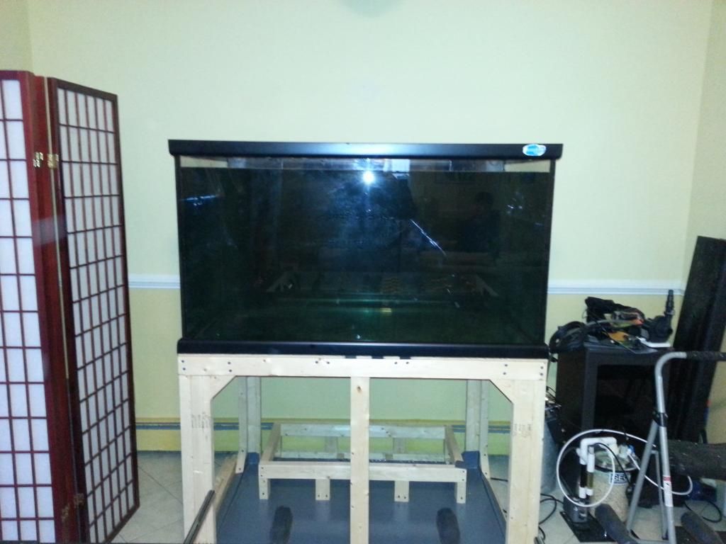 20121202_152732.jpg