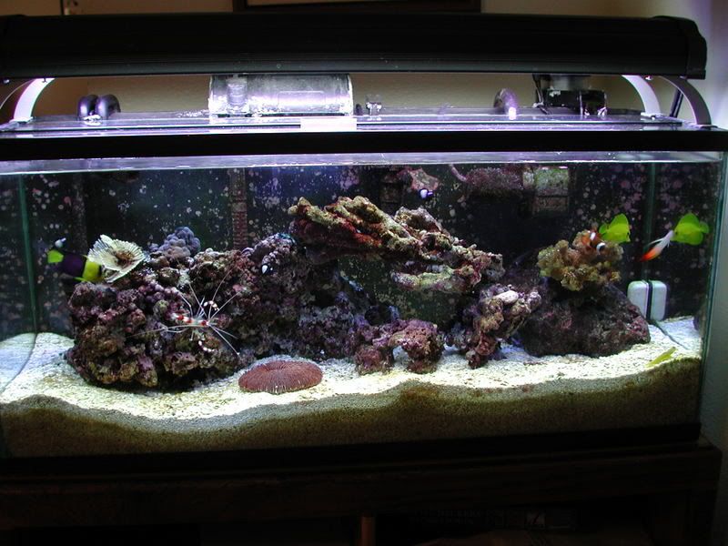 DSCN2293.jpg