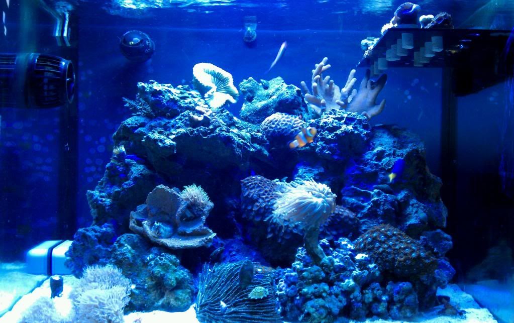 IMAG1107-1.jpg