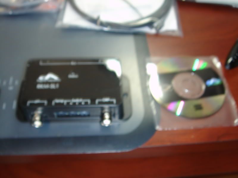 DSC01861.jpg