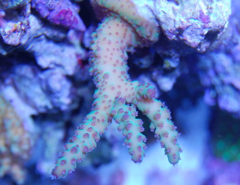 DSC_0117.jpg