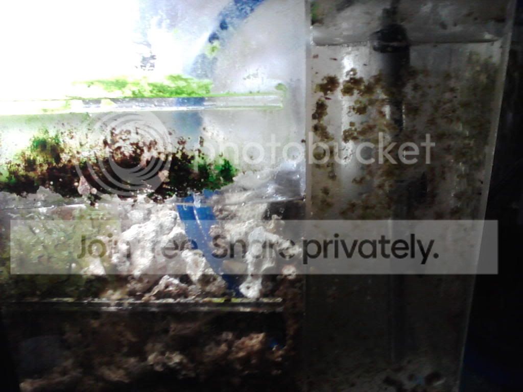 sump4.jpg