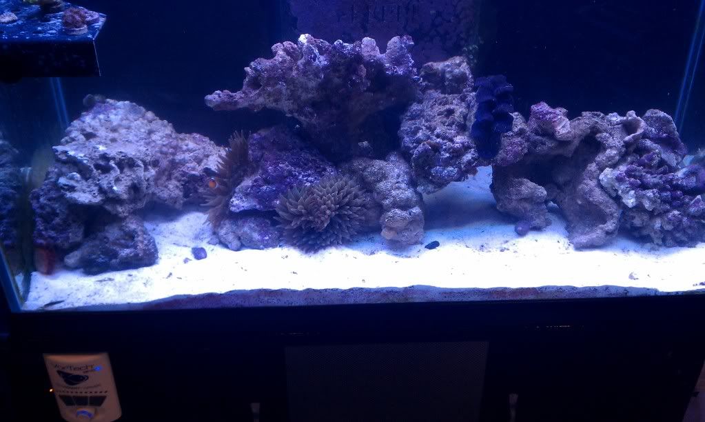 IMAG0522.jpg